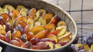 Śliwki znajdują szerokie zastosowanie w kulinariach - wykorzystaj ją do pieczenia i robienia przetworów