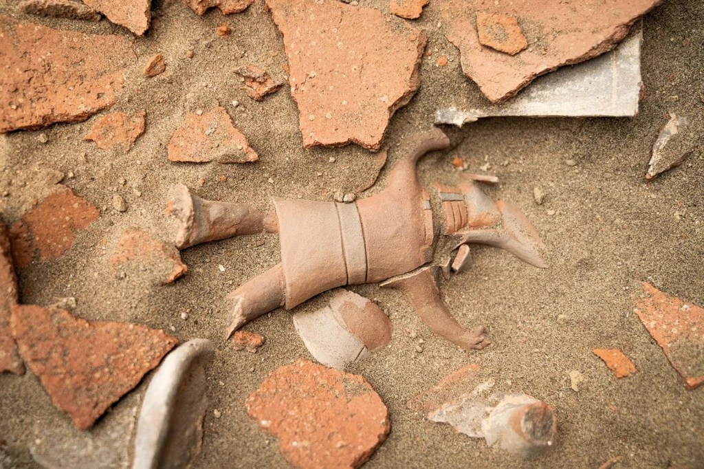 Archeolodzy wyłonili tajemniczą figurkę. Znaleźli ją w starożytnym obserwatorium astronomicznym Archeolodzy wyłonili tajemniczą figurkę. Znaleźli ją w starożytnym obserwatorium astronomicznym