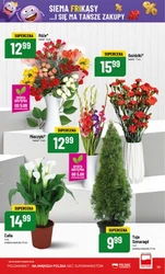 Zmiany, zmiany... Nowości! - Polomarket
