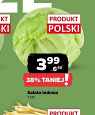 Sałata lodowa Polski