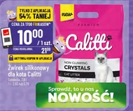 Żwirek