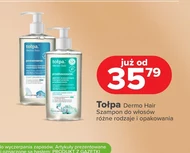 Szampon Tołpa