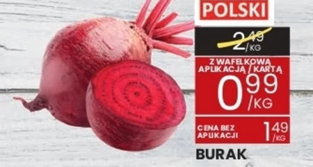 Burak Polski