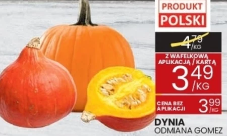 Dynia Polski