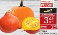 Dynia Polski