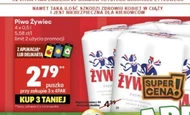 Piwo Żywiec