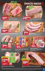 Promocje na początek września - Stokrotka Optima
