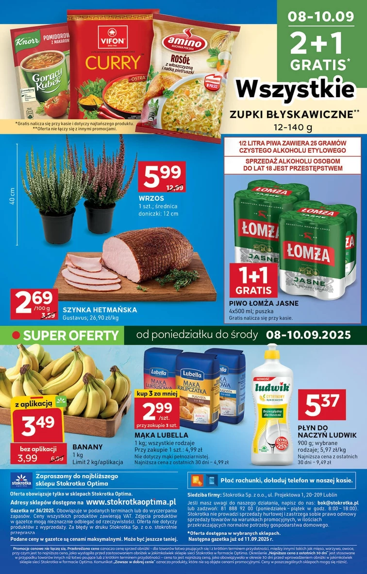 leaflet page preview image