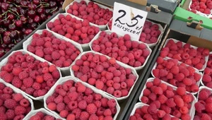 Polska liderem produkcji malin w UE. Rząd o "malinowej potędze"