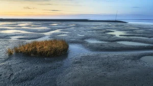 Tutaj morze pojawia się i znika. Odsłania wyjątkowy krajobraz