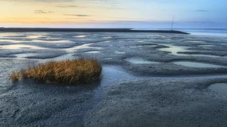 Morze Wattowe zaskakuje i odsłania wyjątkowy krajobraz 