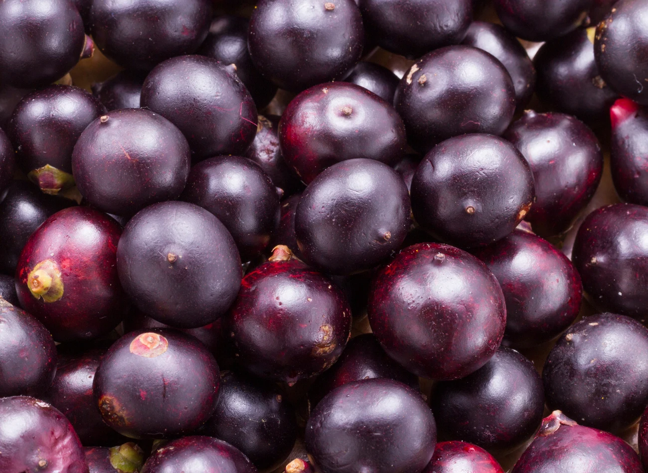 Te mniej znane jagody to bogactwo witamin i minerałów. Te mniej znane jagody to bogactwo witamin i minerałów.