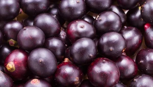 Nie myl z aronią i tarniną. Smaczny owoc na serce, odporność i przemęczenie