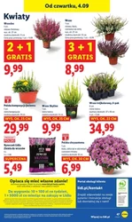 Oferta od czwartku! - Lidl