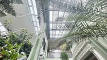 Wysokie pomieszczenie z przeszklonym dachem, pełne bujnej zieleni doniczkowej, jasne ściany, klasyczne kolumny i ozdobne zdobienia architektoniczne, naturalne światło wpadające przez dach.