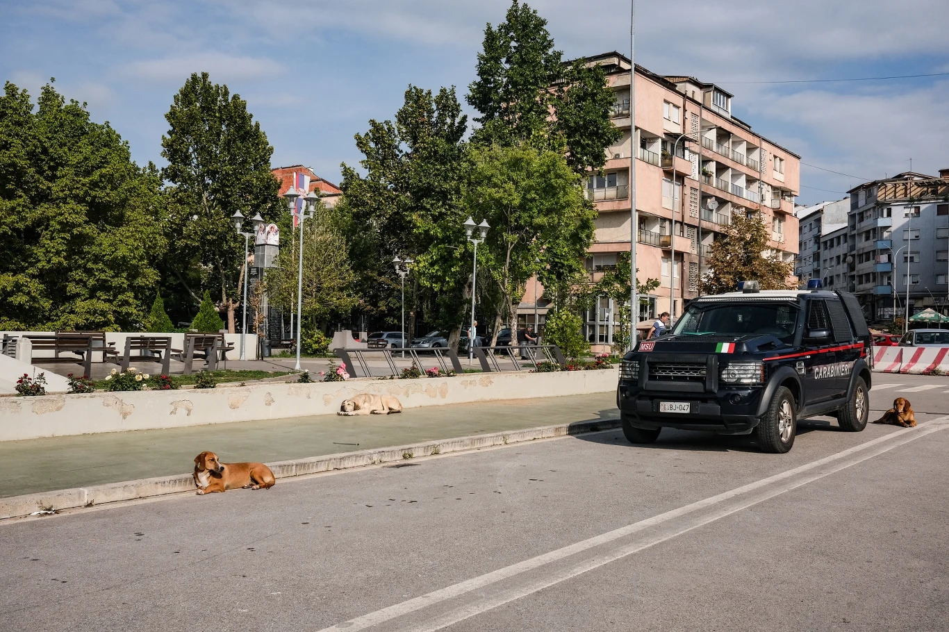 Problem bezdomności zwierząt jest bardzo widoczny na ulicach Kosowa Trzy bezpańskie psy leżące na ulicy oraz poboczu w pobliżu czarnego samochodu policyjnego marki Carabinieri, zlokalizowanego na tle miejskich budynków oraz zieleni.