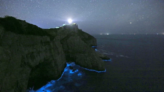 Stromy klif rozświetlony światłem latarni morskiej, nocne niebo pełne gwiazd, błękitna poświata przy linii brzegowej wskazuje na zjawisko bioluminescencji w wodzie.