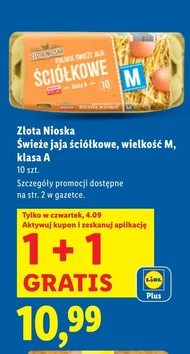 Jaja Złota nioska