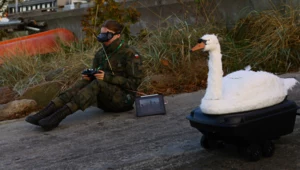 "Kaczka trojańska". Nietypowy polski dron na MSPO 2025