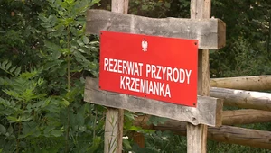 Polacy nie szanują rezerwatów. Śmieci, psy i łamanie regulaminu
