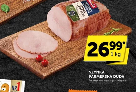 Шинка Duda