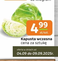 Капуста