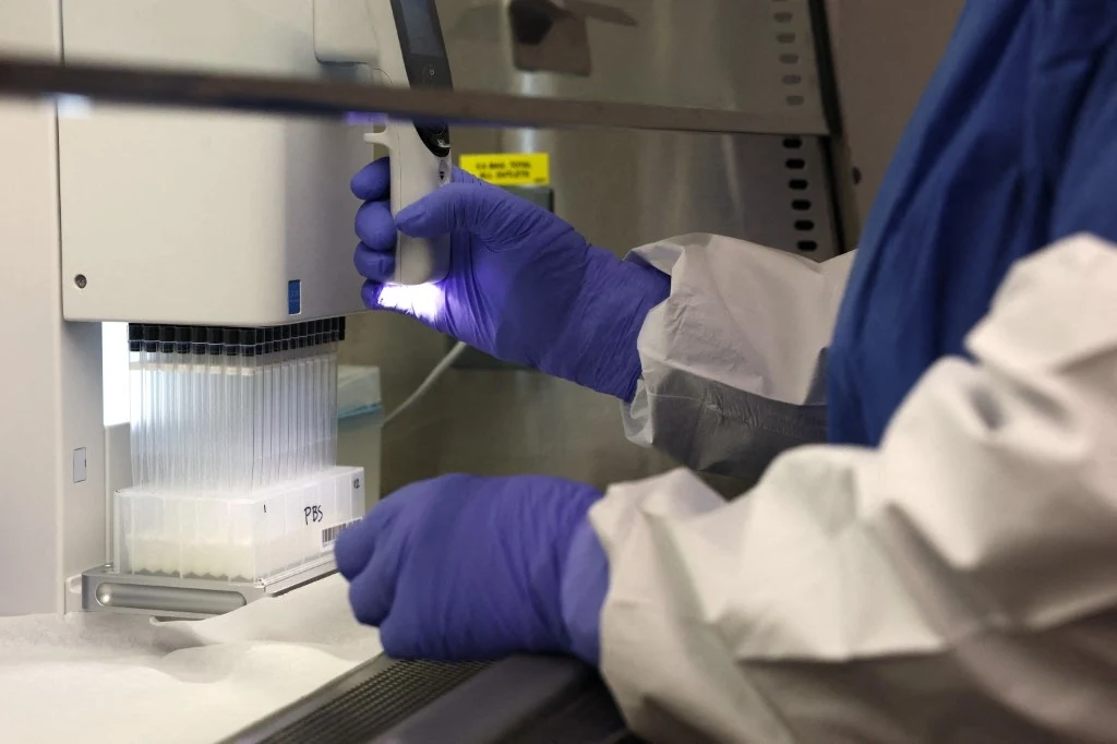 Testy żywności na obecność ptasiej grypy. Zdjęcie ilustracyjne Ręce w rękawiczkach laboratoryjnych obsługują automatyczną pipetę w sterylnym środowisku, robotyczny sprzęt laboratoryjny pobiera próbki do specjalnych pojemników na płyny.