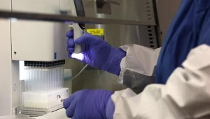 Testy żywności na obecność ptasiej grypy. Zdjęcie ilustracyjne