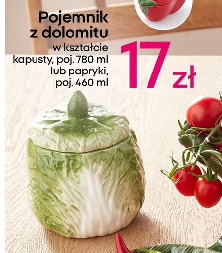 Pojemnik