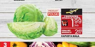 Kapusta biała