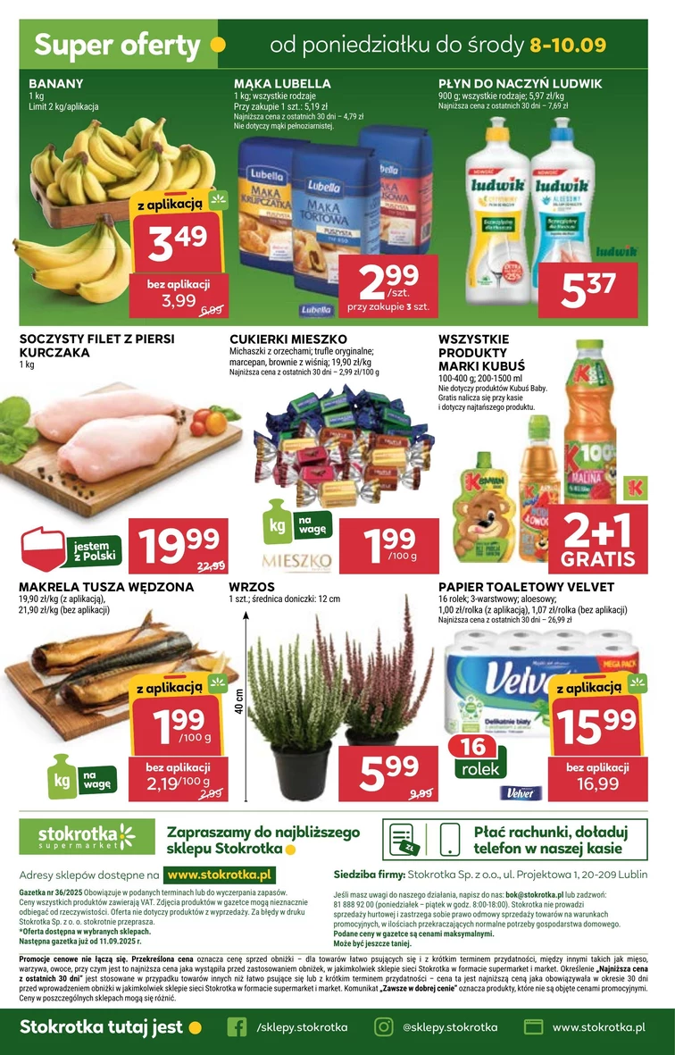 leaflet page preview image