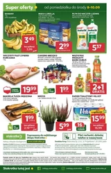 Promocyjny zawrót głowy – Stokrotka Market
