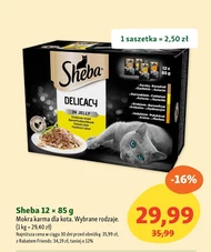 Mokra karma dla kota Sheba