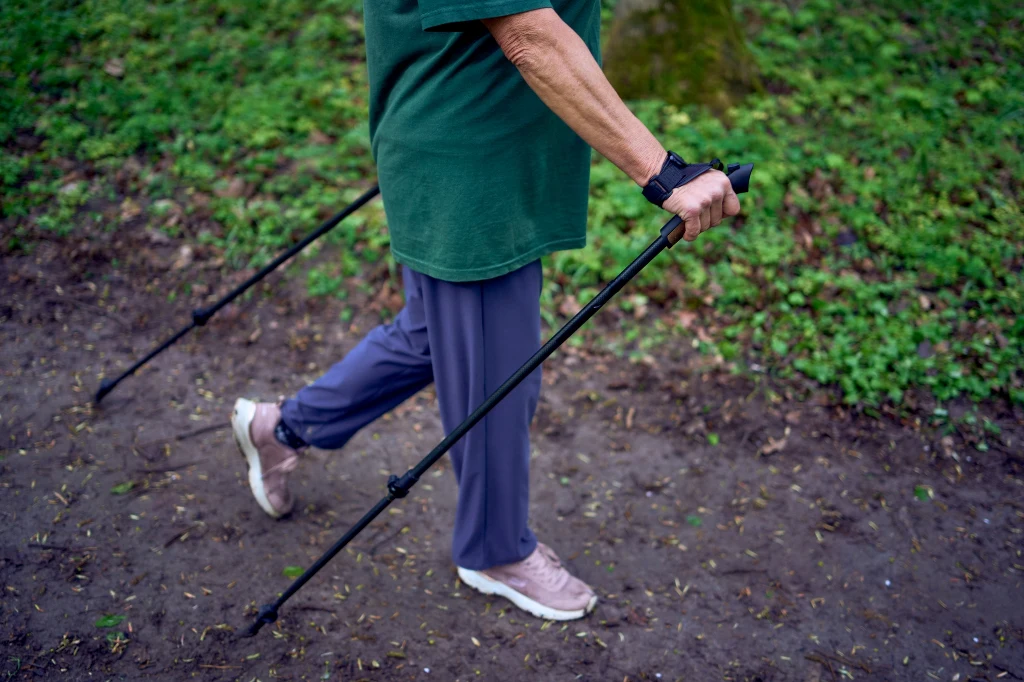 O jakiej porze dnia spacer jest najskuteczniejszy? Starsza osoba podczas nordic walkingu idąca ścieżką w zielonym parku, używa kijków trekkingowych oraz nosi sportowe ubranie i zegarek na ręce.