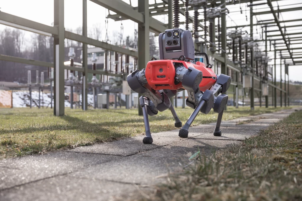 Sztuczna inteligencja w sporcie. Robot czworonożny jako rywal w badmintonie