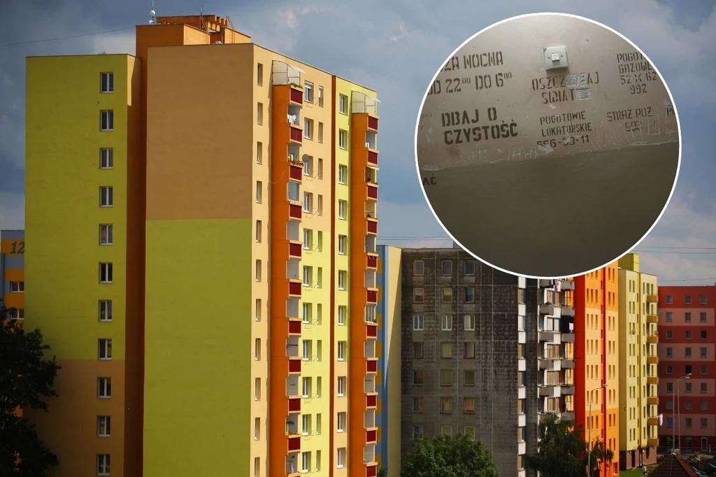 Jak często warto malować ściany w bloku