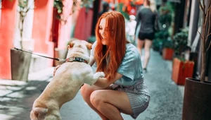 Dlaczego głaszczemy psy na ulicy? Psychologia mówi jasno 