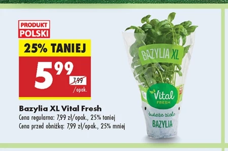 Базилік Vital Fresh
