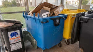 Wystarczy otworzyć śmietnik, prawo tego nie zabrania. Chcą kary 10 tys. zł