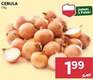 Цибуля Polski