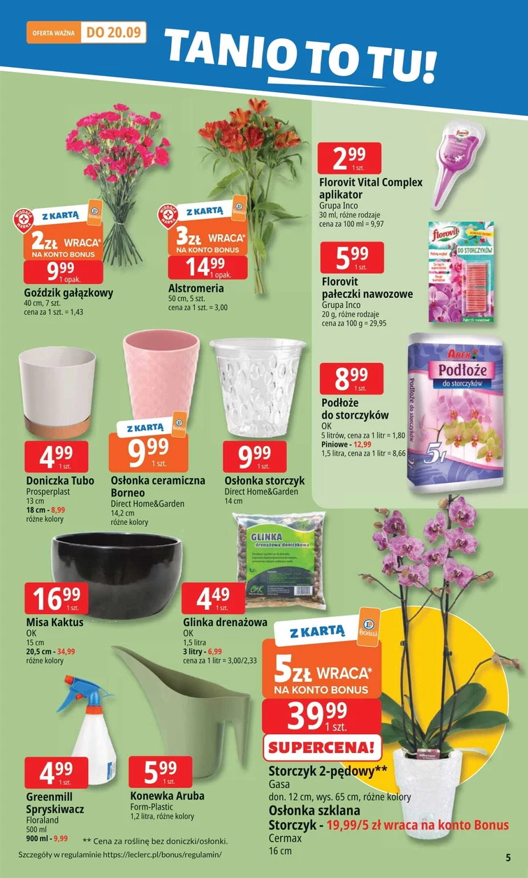 leaflet page preview image