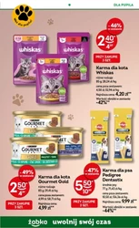 Uwolnij swój czas - Żabka