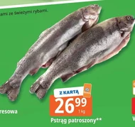 Pstrąg AMI