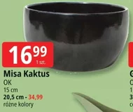 Misa Kaktus