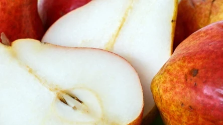 Kongresówka to ponad 160-letnia odmiana gruszy, która jest uważana za najsmaczniejszą na świecie.