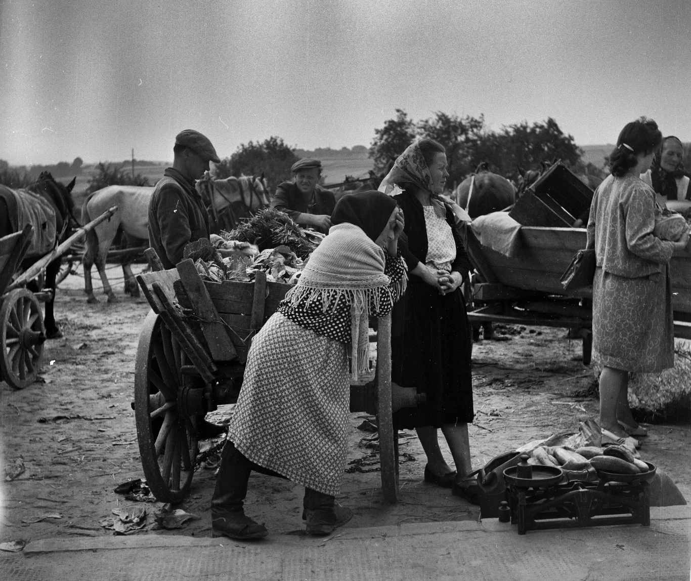 Chłopki na targu. Opatów, 1961