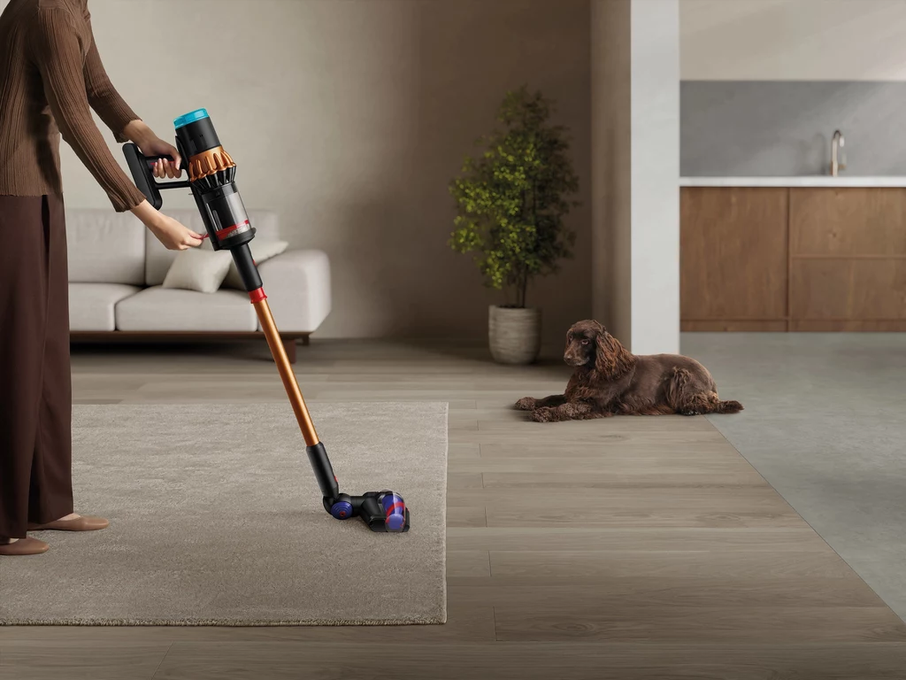 Dyson Dyson