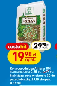 Kora Athena