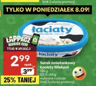 Serek śmietankowy Mlekpol
