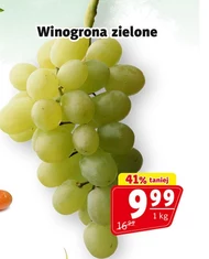 Winogrona